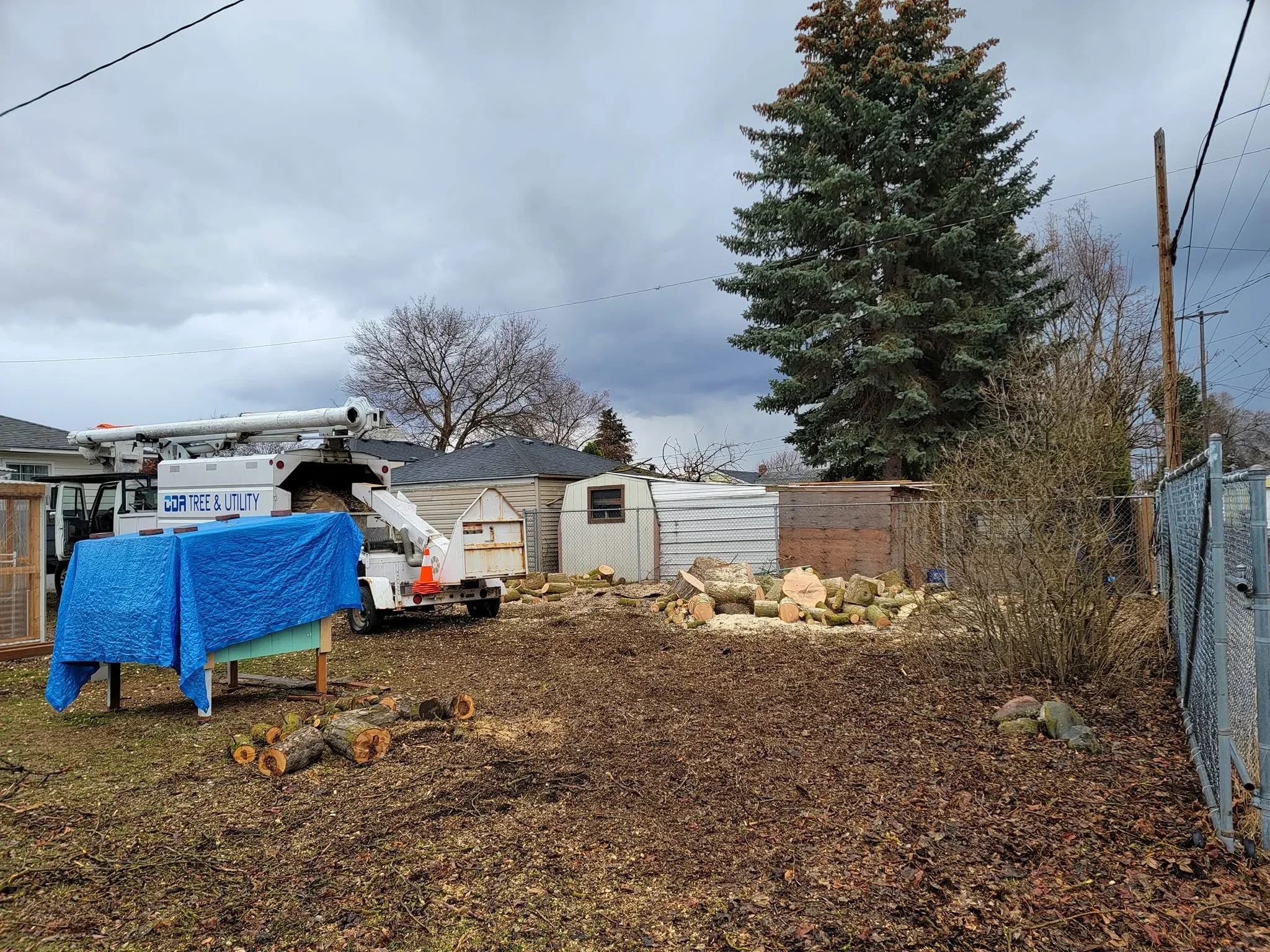 Bucket truck and wood chipper removing large trees with debris piled on residential property