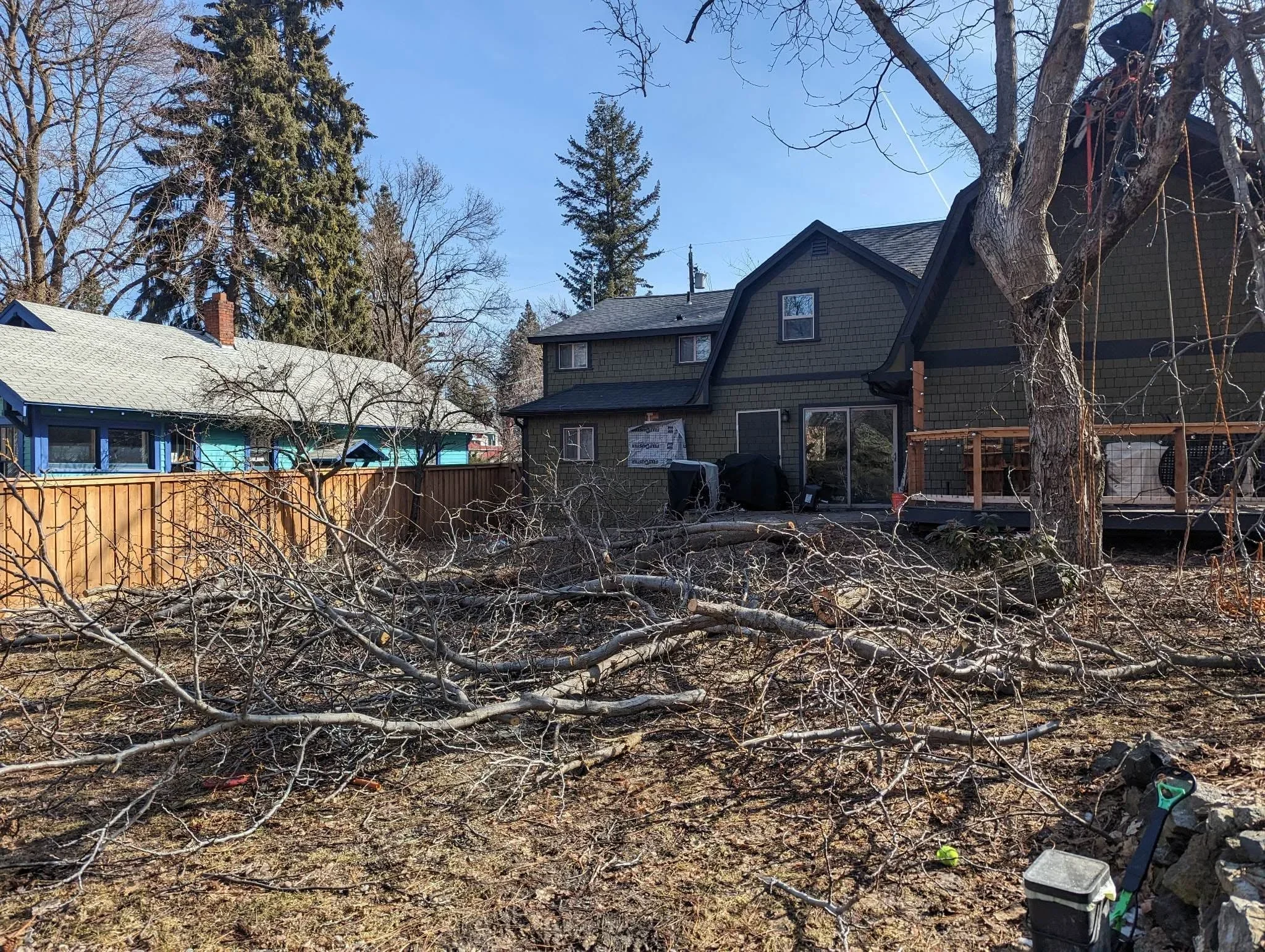 A certified arborist from CDA Tree and Utility LLC sections and removes a large dead pine tree in a residential Coeur d'Alene, Idaho backyard. The surrounding lawn and fence line are clear of debris after the removal is complete.