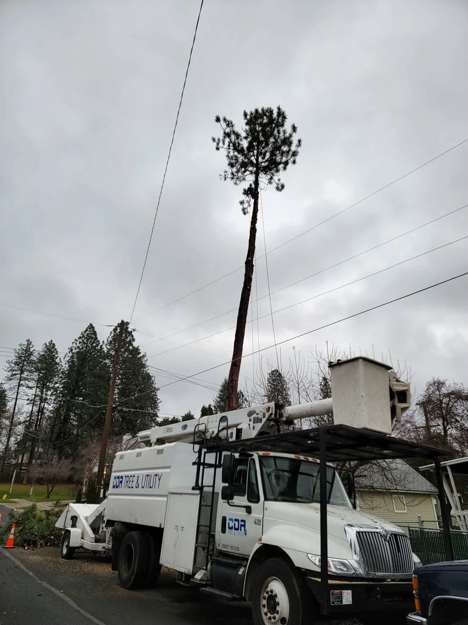 An arborist from CDA Tree and Utility LLC using rigging equipment to remove a large dead pine tree on a residential property in Coeur d'Alene, Idaho. The tree shows visible crown dieback and is being sectioned away from a nearby roofline.
