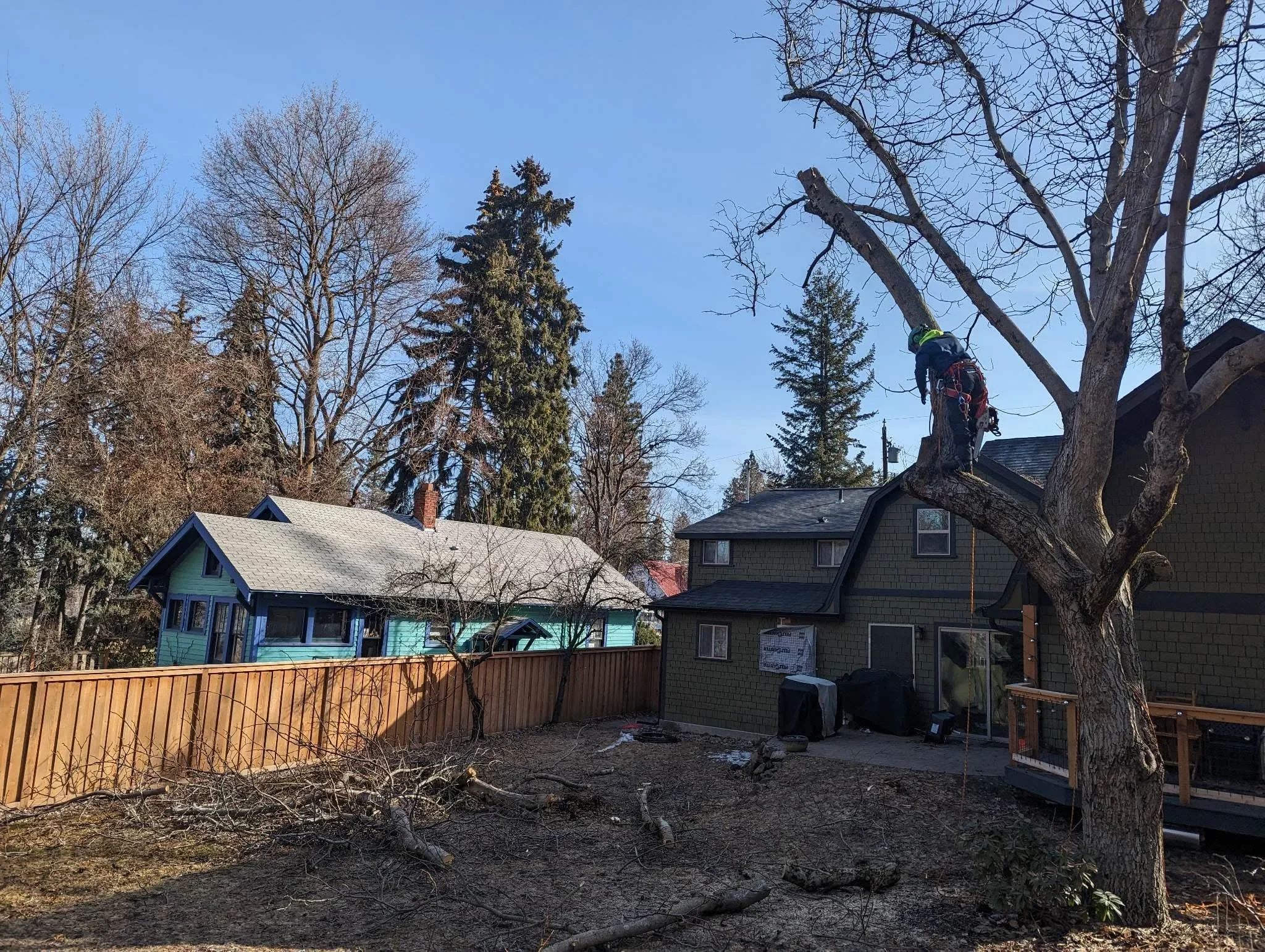 A freshly ground stump site in a Coeur d'Alene, ID residential yard, showing level ground and wood chip debris where a large conifer stump once stood. The surrounding lawn and driveway edge remain intact after professional stump removal by CDA Tree and Utility LLC.
