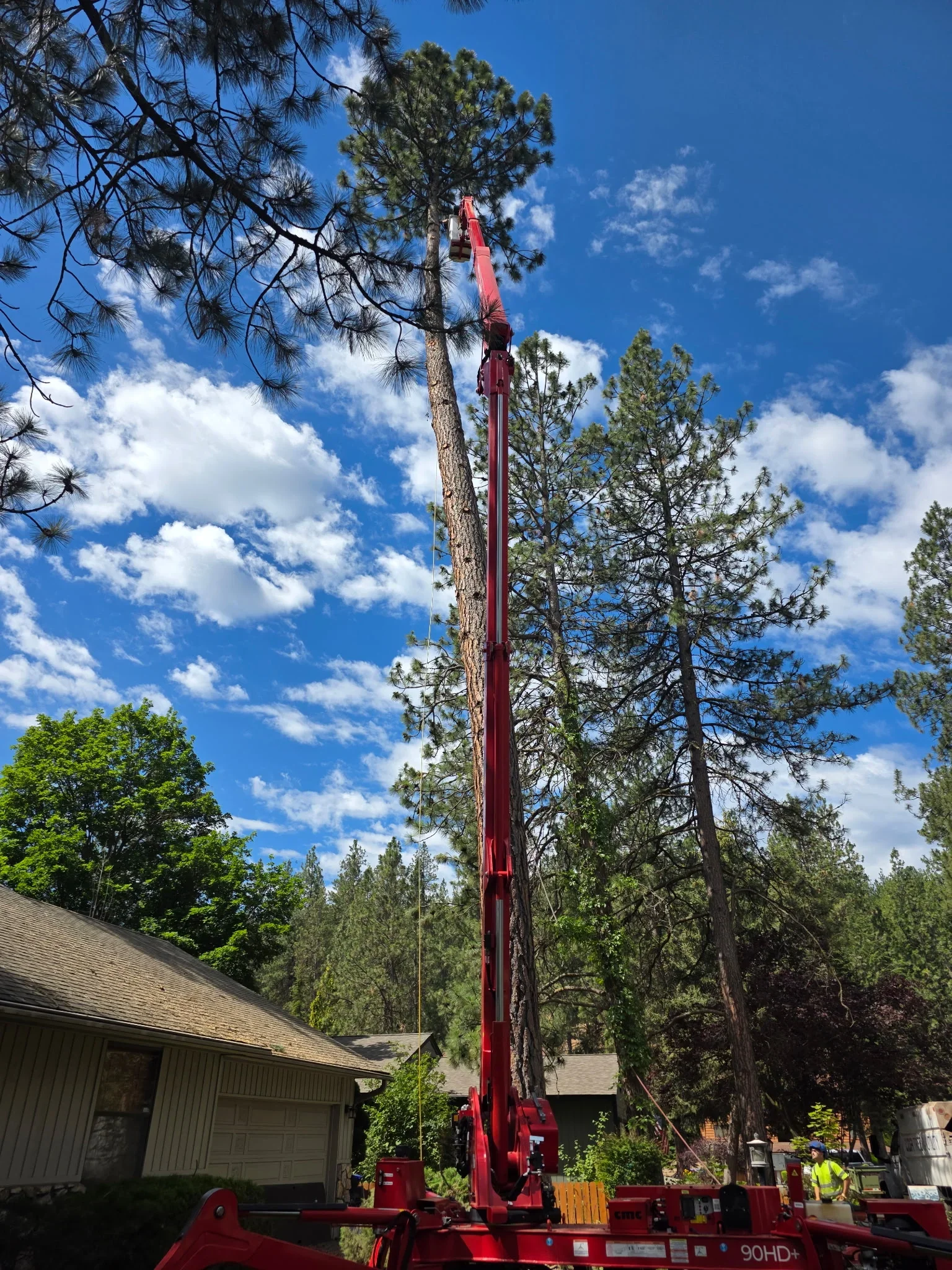A large dead pine tree being sectioned and lowered by a crew in a residential backyard in Coeur d'Alene, Idaho, with a cleared debris pile visible on the ground below.